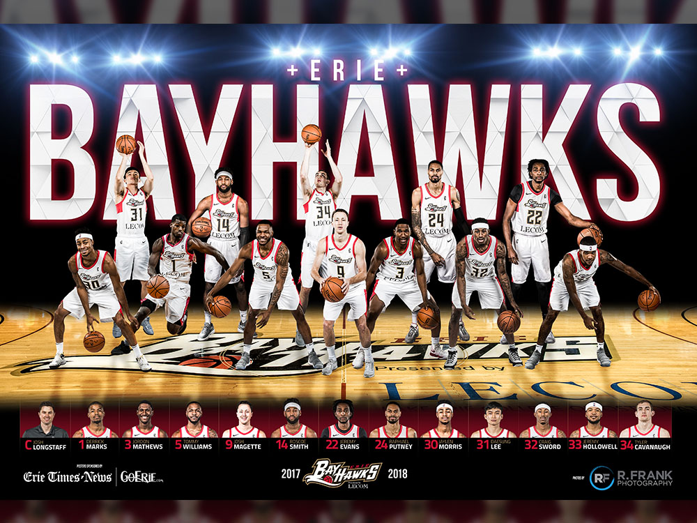 2017 team Poster